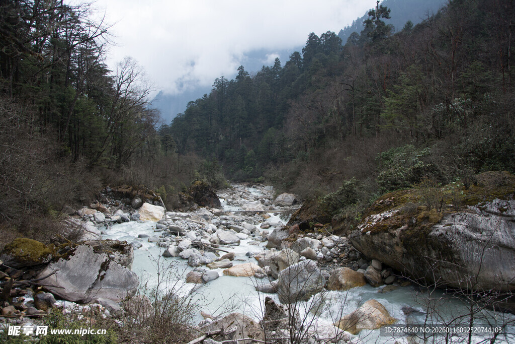 山间湍急溪流与茂密山林