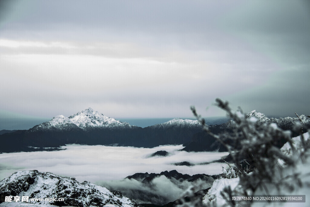雪山远景与前景植物景观