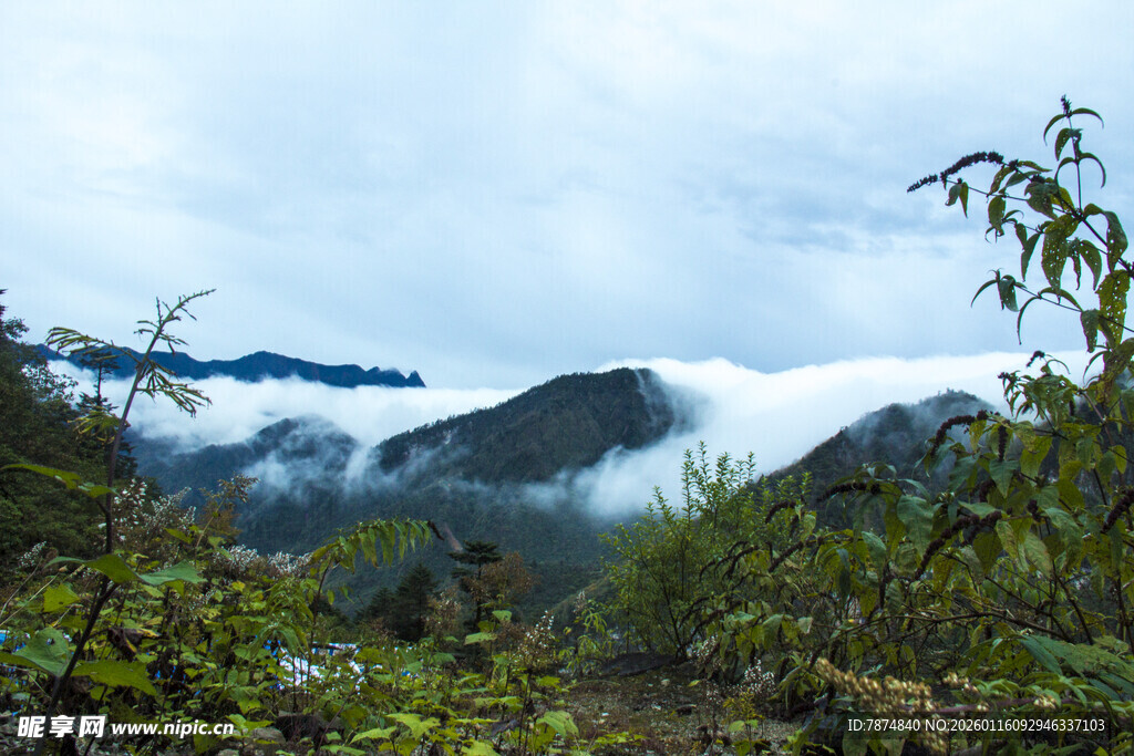 山间云雾缭绕的自然美景