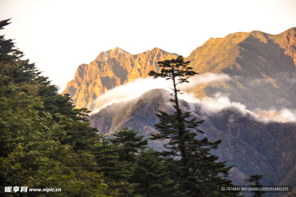 山间晨景 云绕峰林之巅