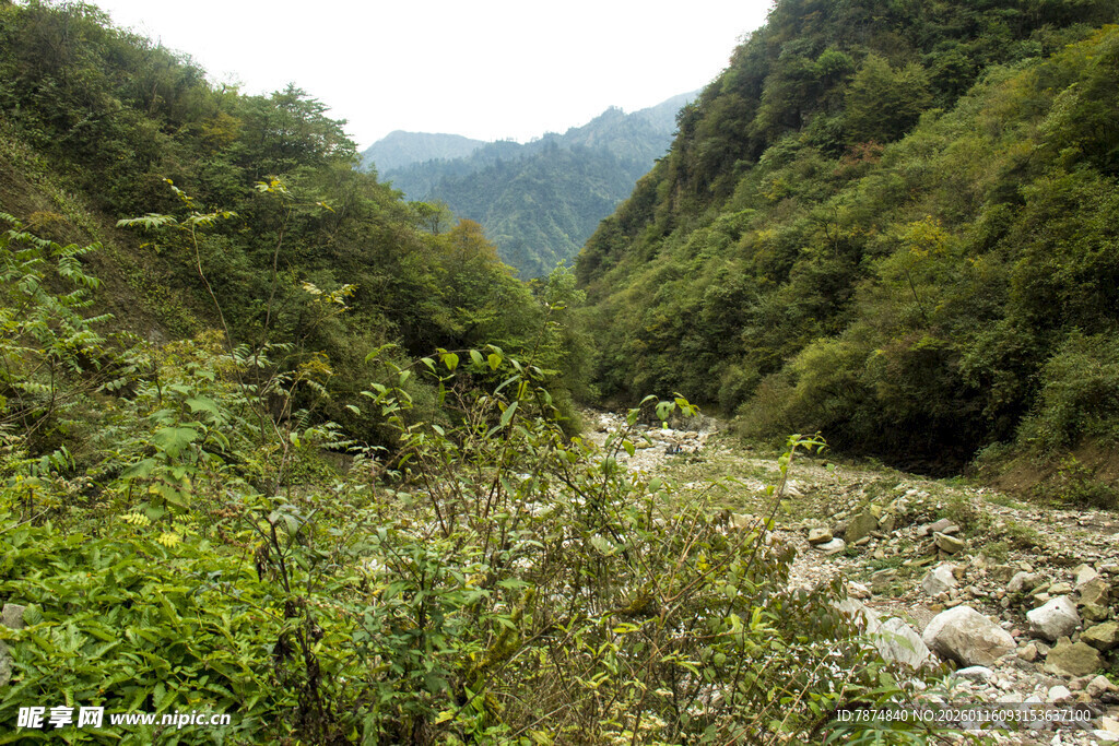 山间河谷绿意盎然景色