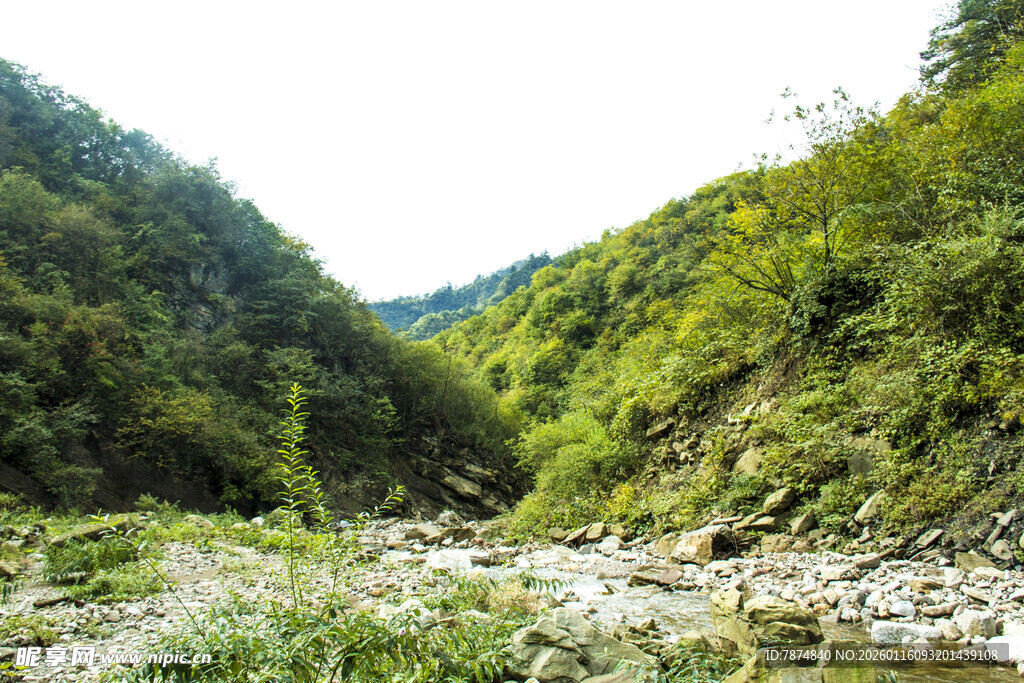 山间溪流 绿意盎然的景致