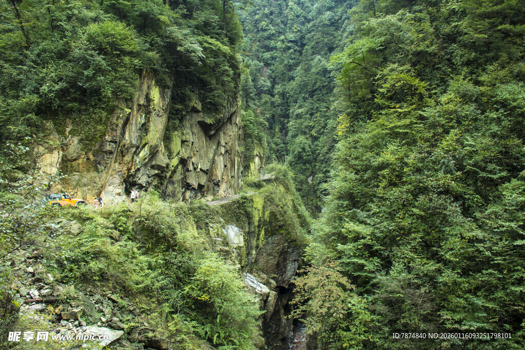 山间蜿蜒公路 绿意盎然