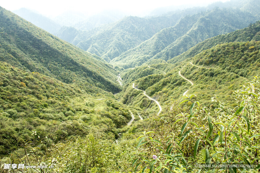 山间蜿蜒公路 绿意盎然
