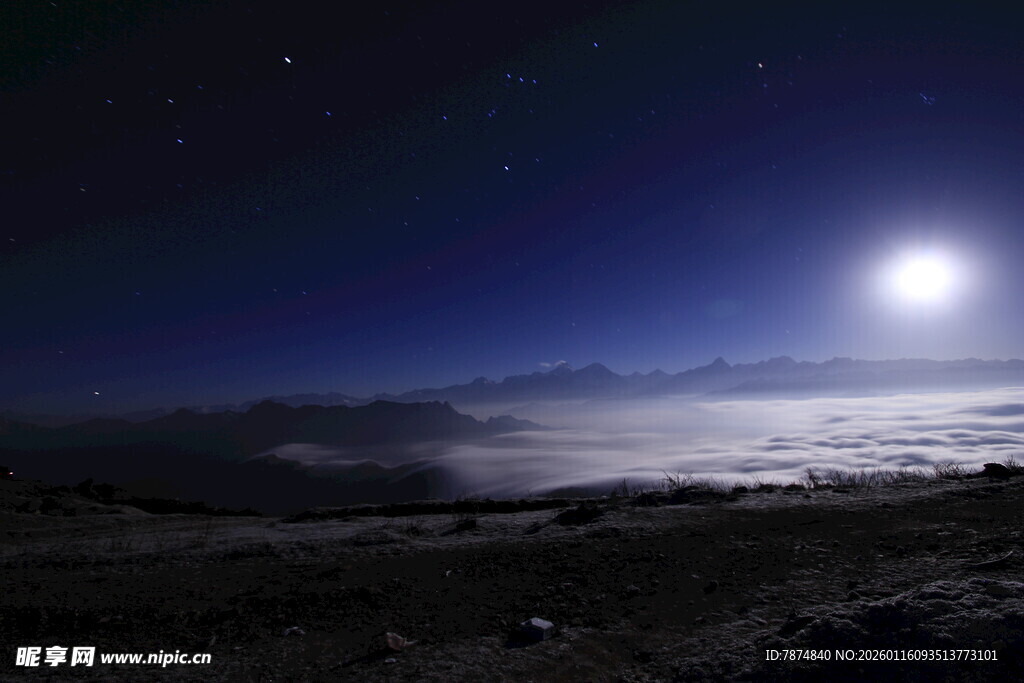 月夜下的静谧海边景色