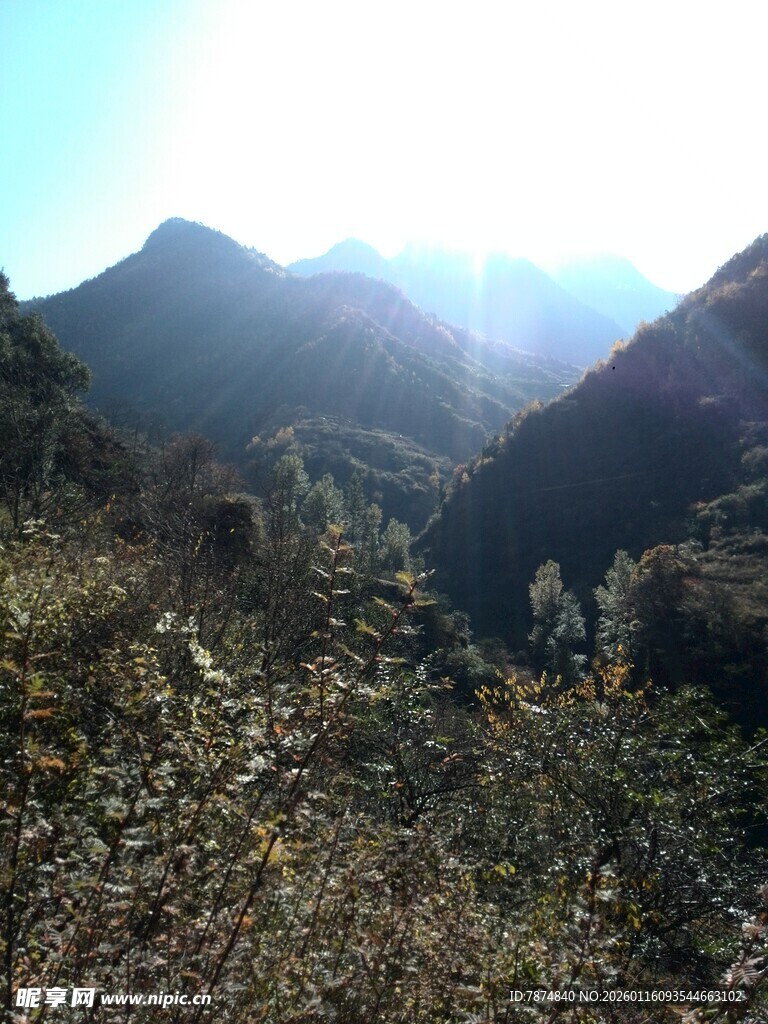 山间晨光下的秀丽景致