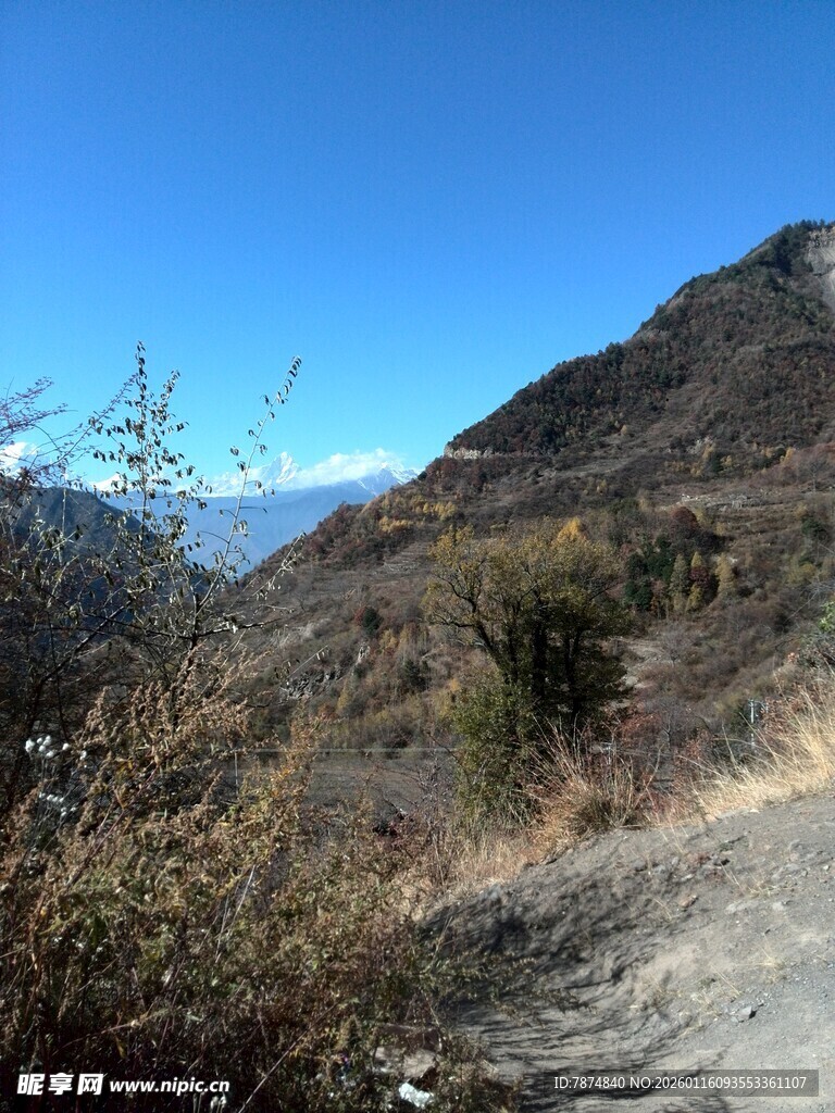 山间小道旁的自然景致