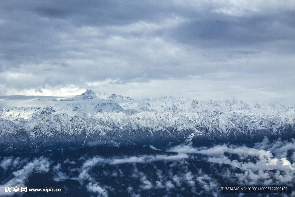 雪山下的广袤森林景观