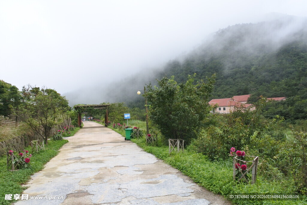 山间雾中乡村小道风景
