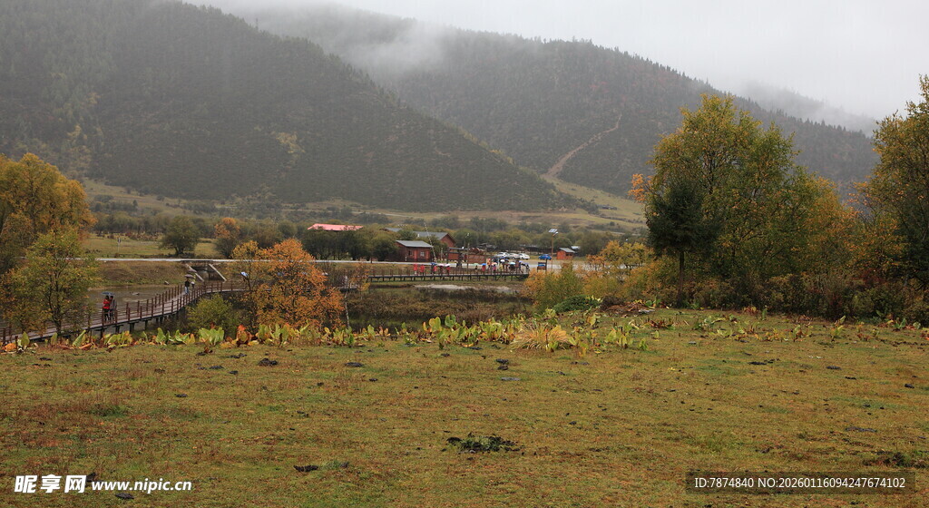 山间草地村落秋日景象