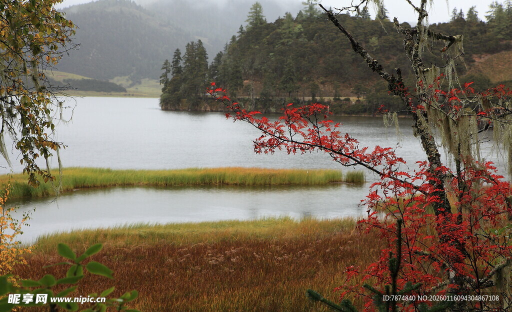湖畔秋景 红叶点缀自然美