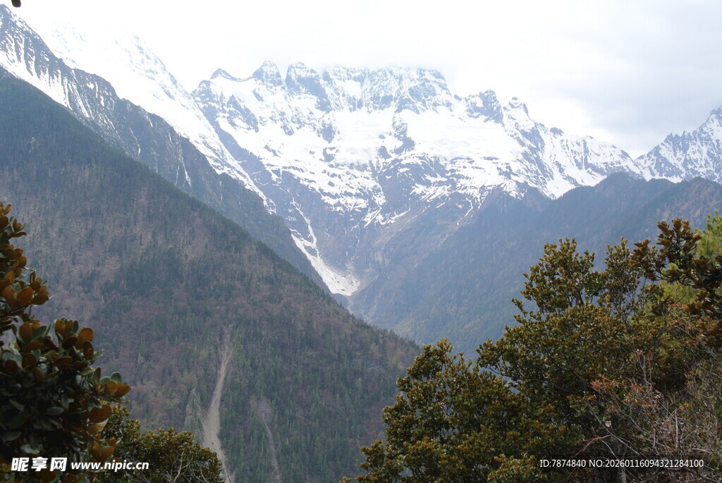 雪山下的葱郁山林