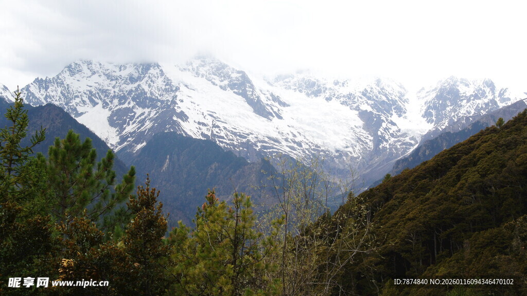 雪山下的葱郁山林