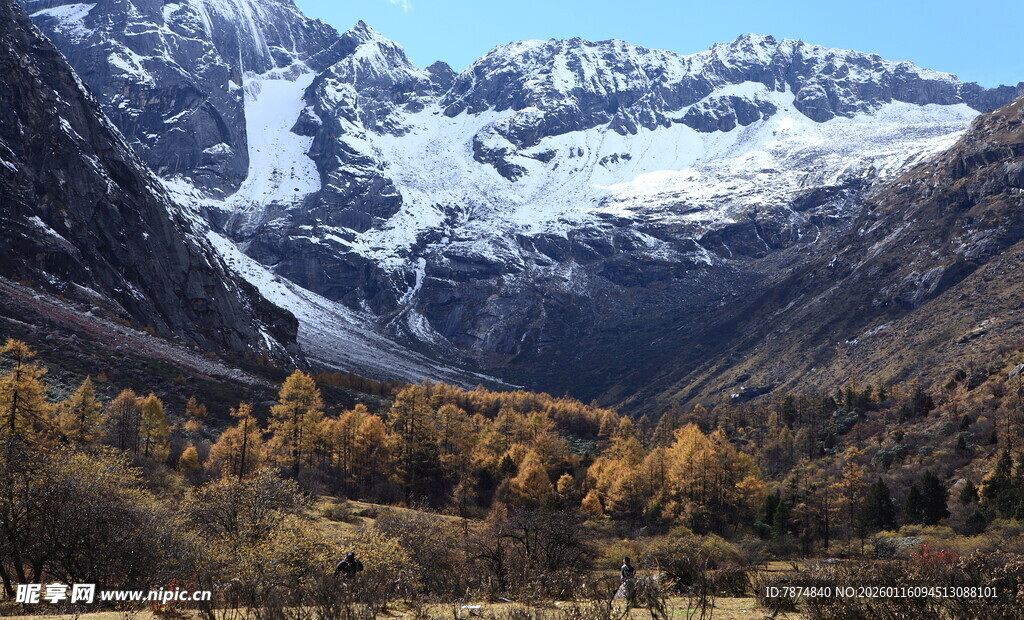 秋日雪山下的斑斓山林