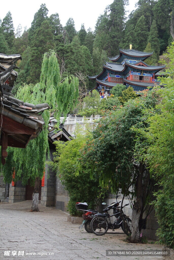 古村小巷 绿植环绕的静谧处