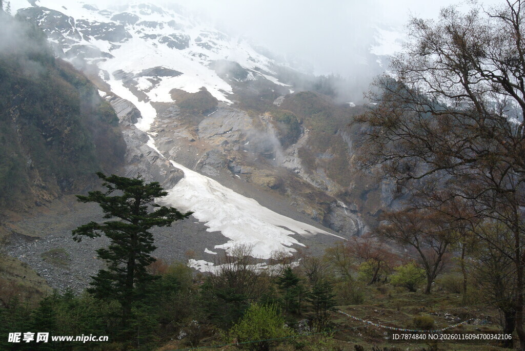 雪山森林景观