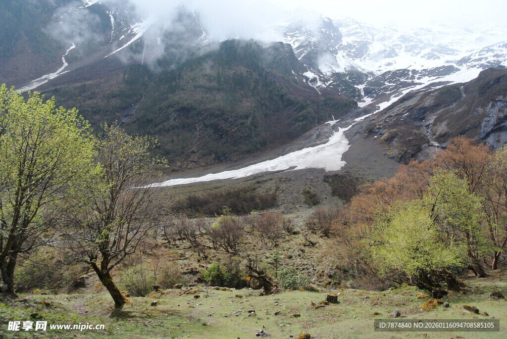 山间春景 雪与植被相映