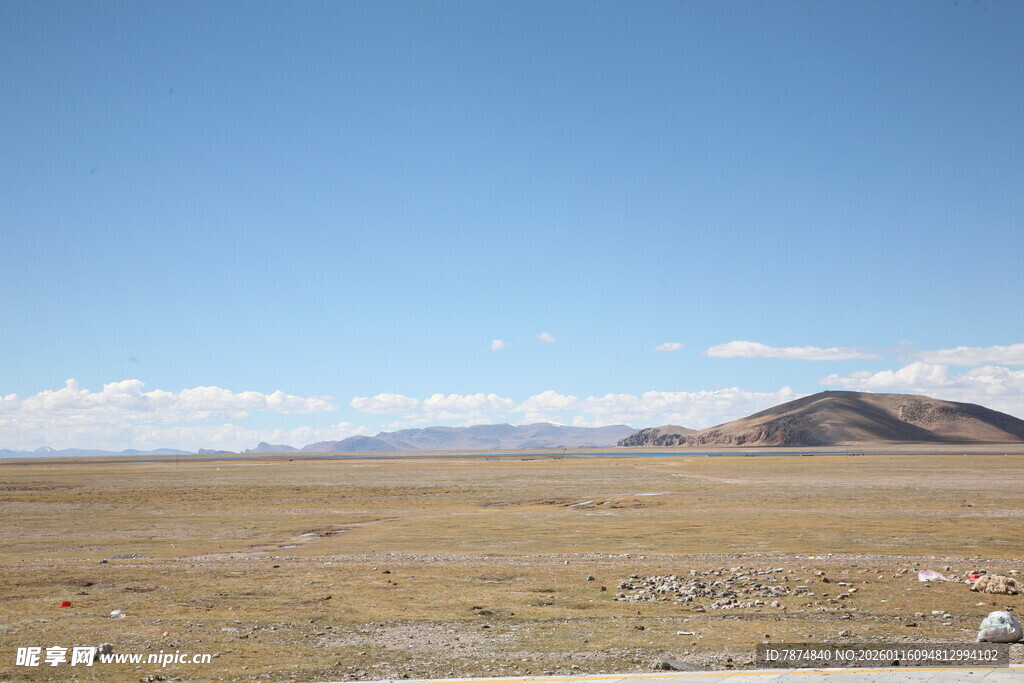 广袤草原上的悠然牧群