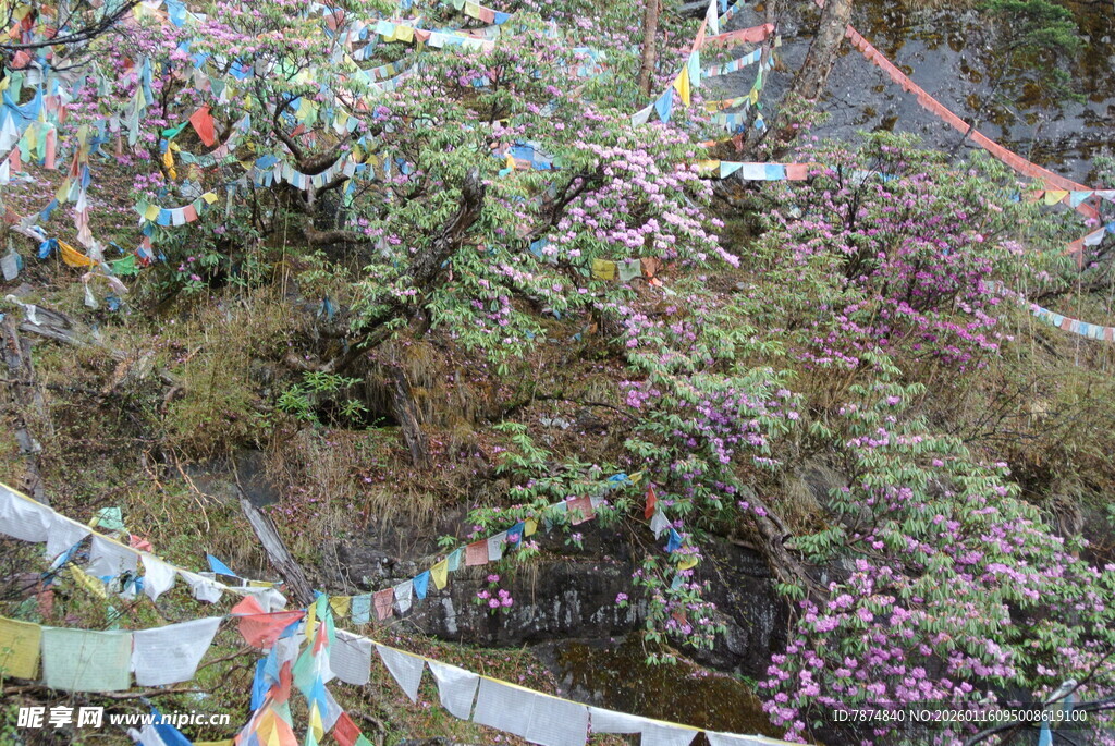 山间五彩经幡随风飘扬