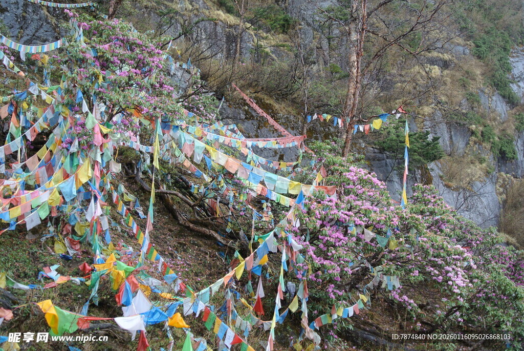 山间五彩经幡随风飘动