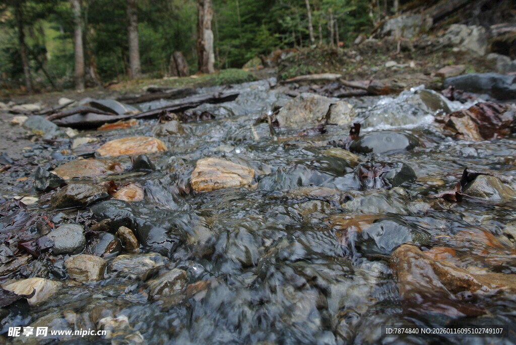 山间溪流中的多彩石块