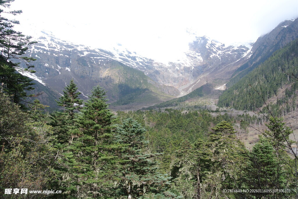 山林间的壮丽雪山景色