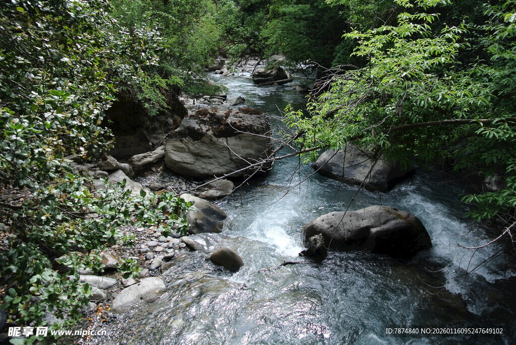山间溪流 绿意环绕之景