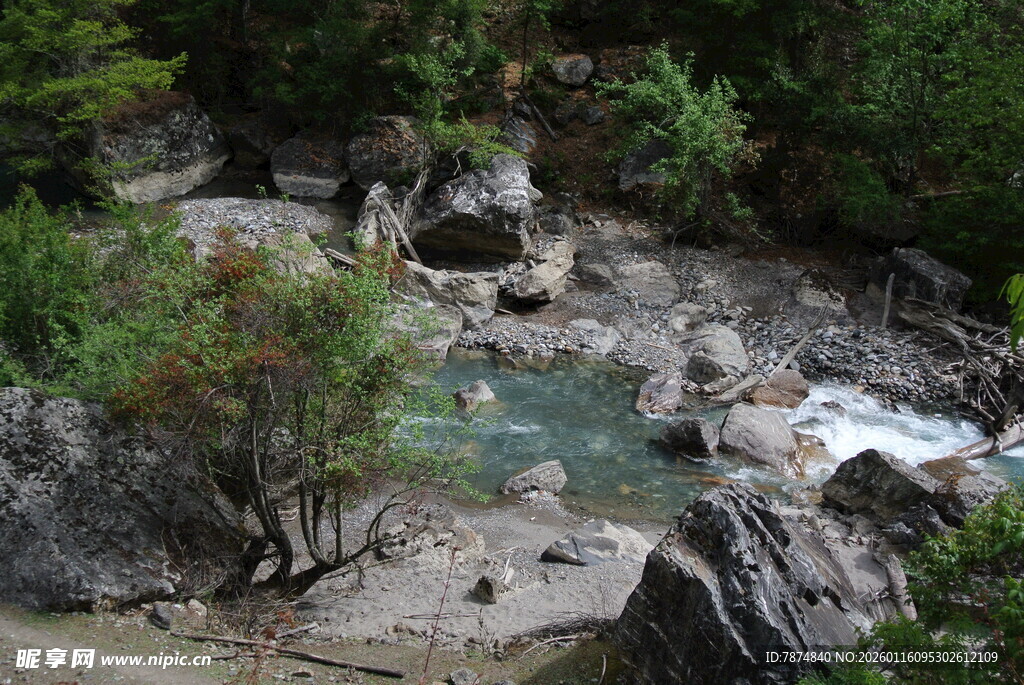 山间溪流与繁茂绿植景观