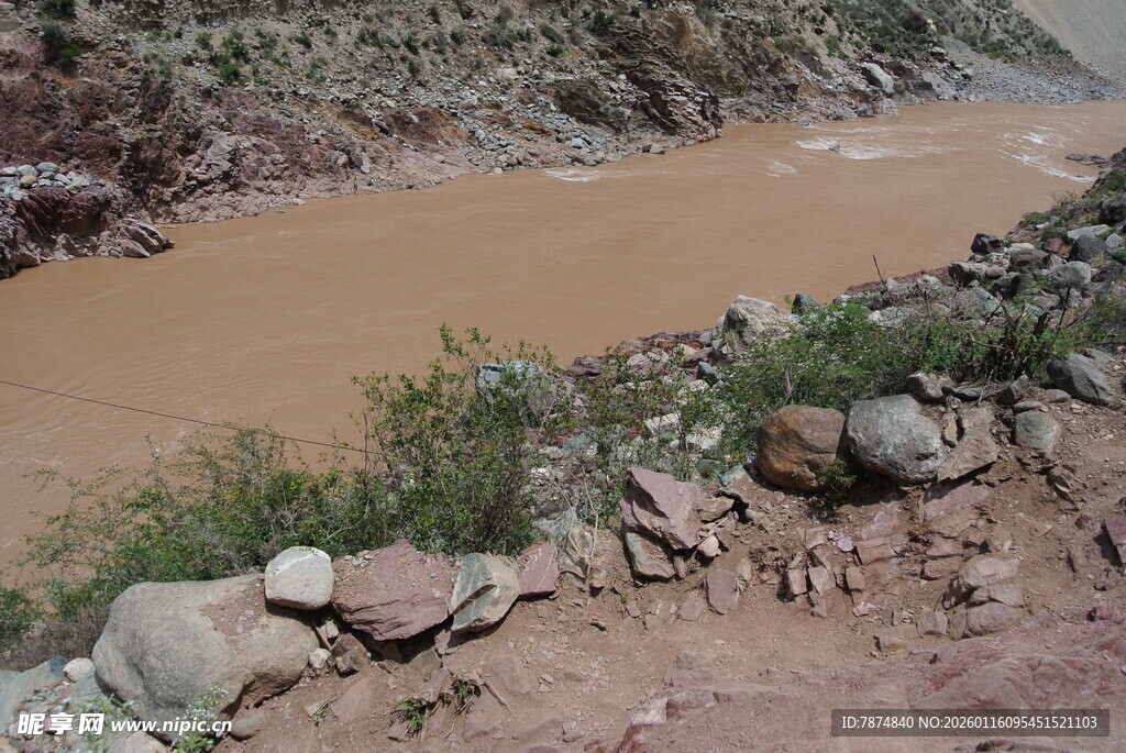 黄河边的岩石与植被景观