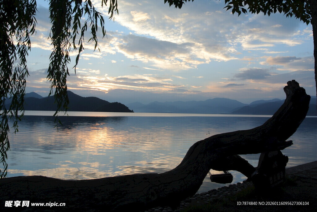 湖畔黄昏垂柳剪影美景