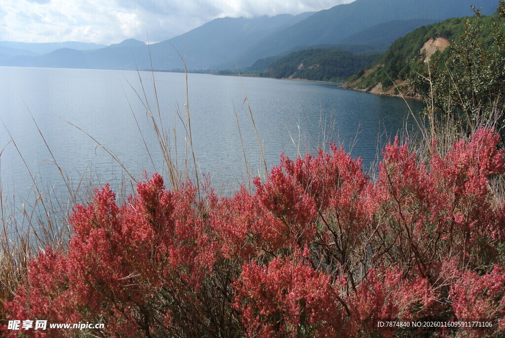 湖畔红植与远山美景
