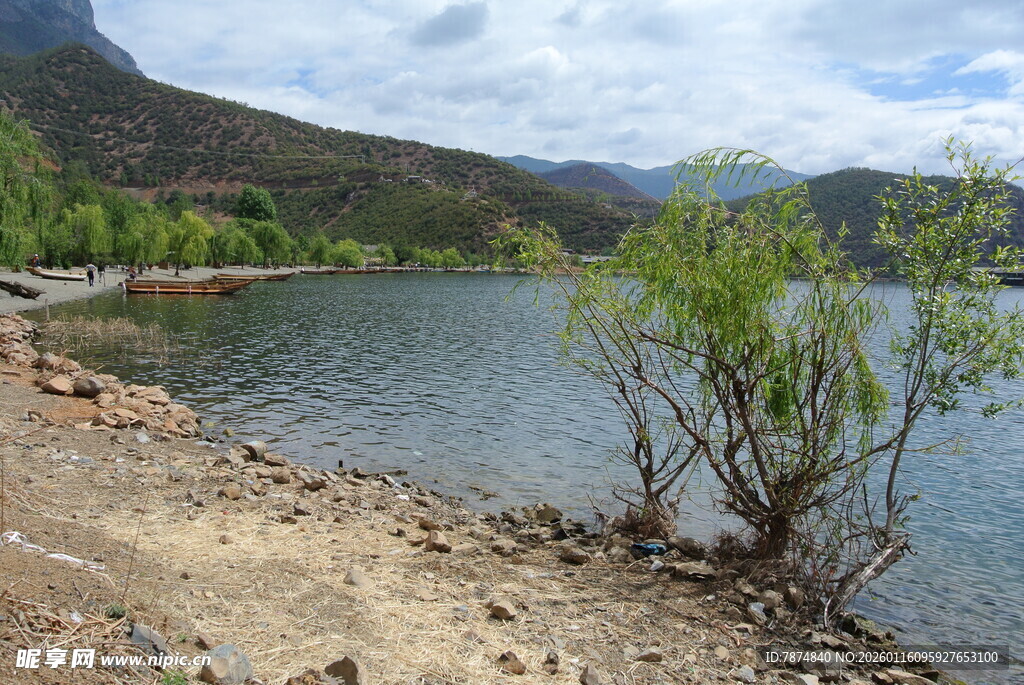 湖畔风光 岸边绿植与远山