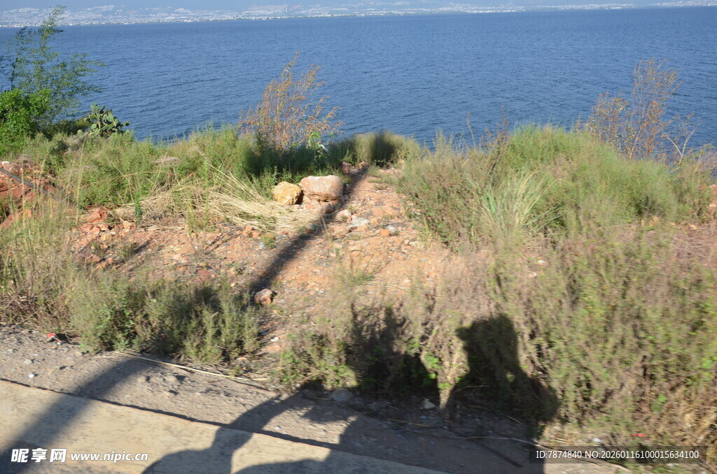 湖畔植被与蜿蜒小径