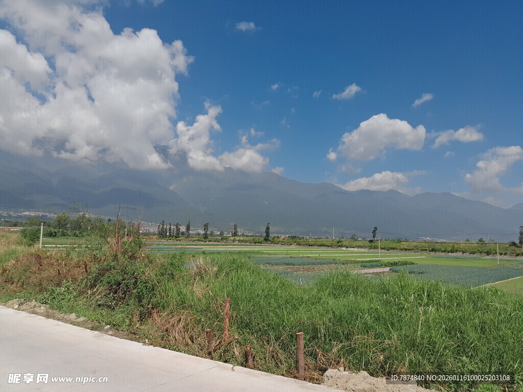 乡村公路旁的开阔田园风光
