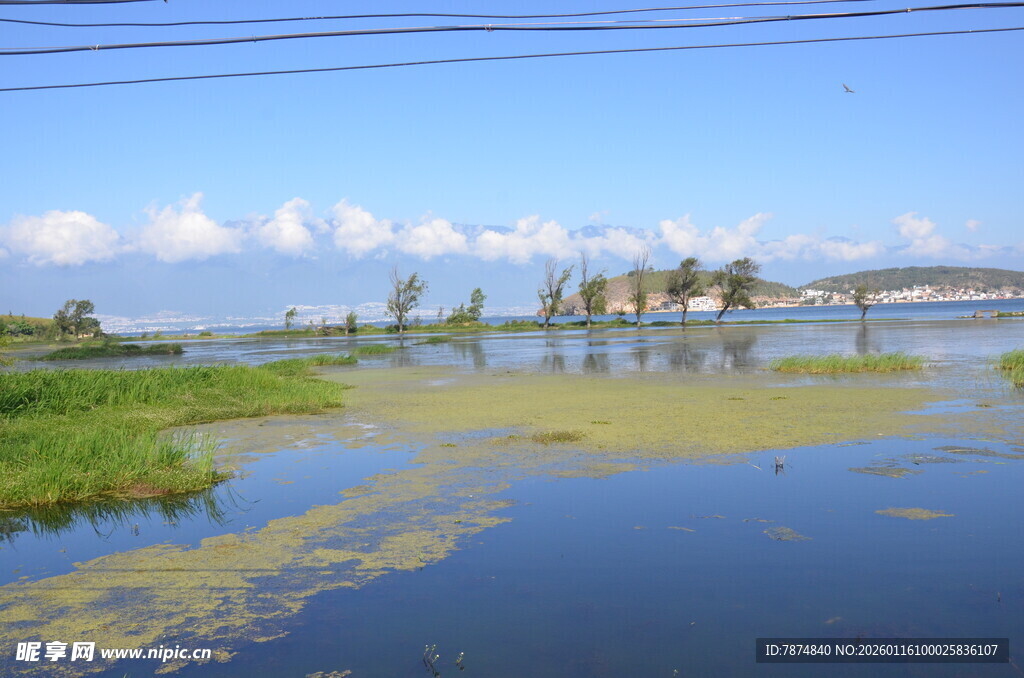 水乡风光 宁静自然之景