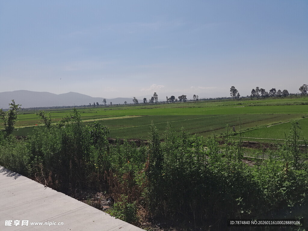 田园风光 宁静乡村景致
