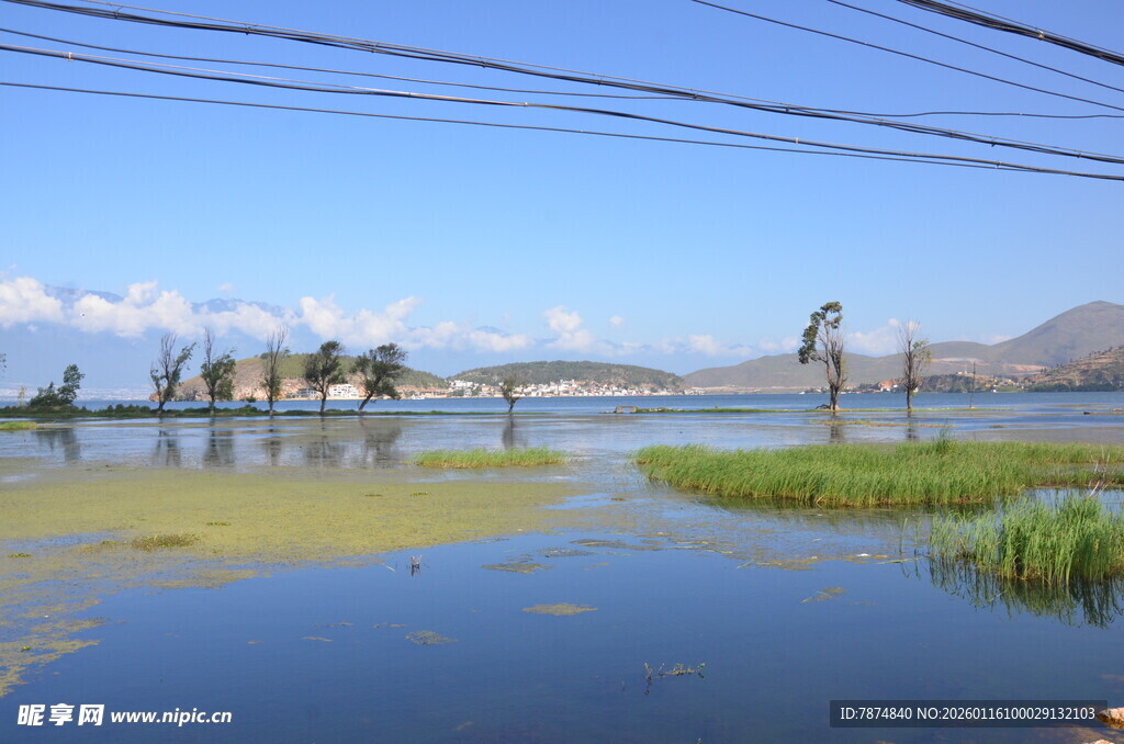 水乡风光 水面与远处桥梁