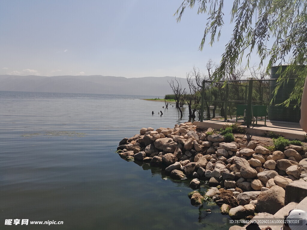 湖畔石岸垂柳风景图