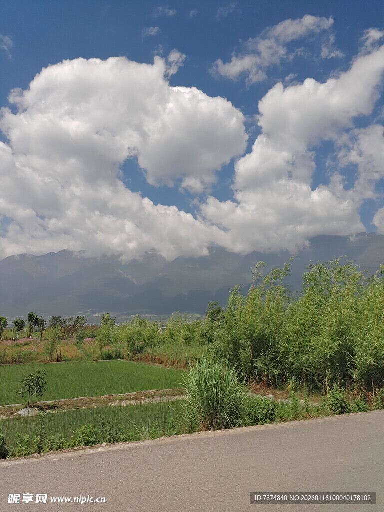 乡村公路旁的田园风光