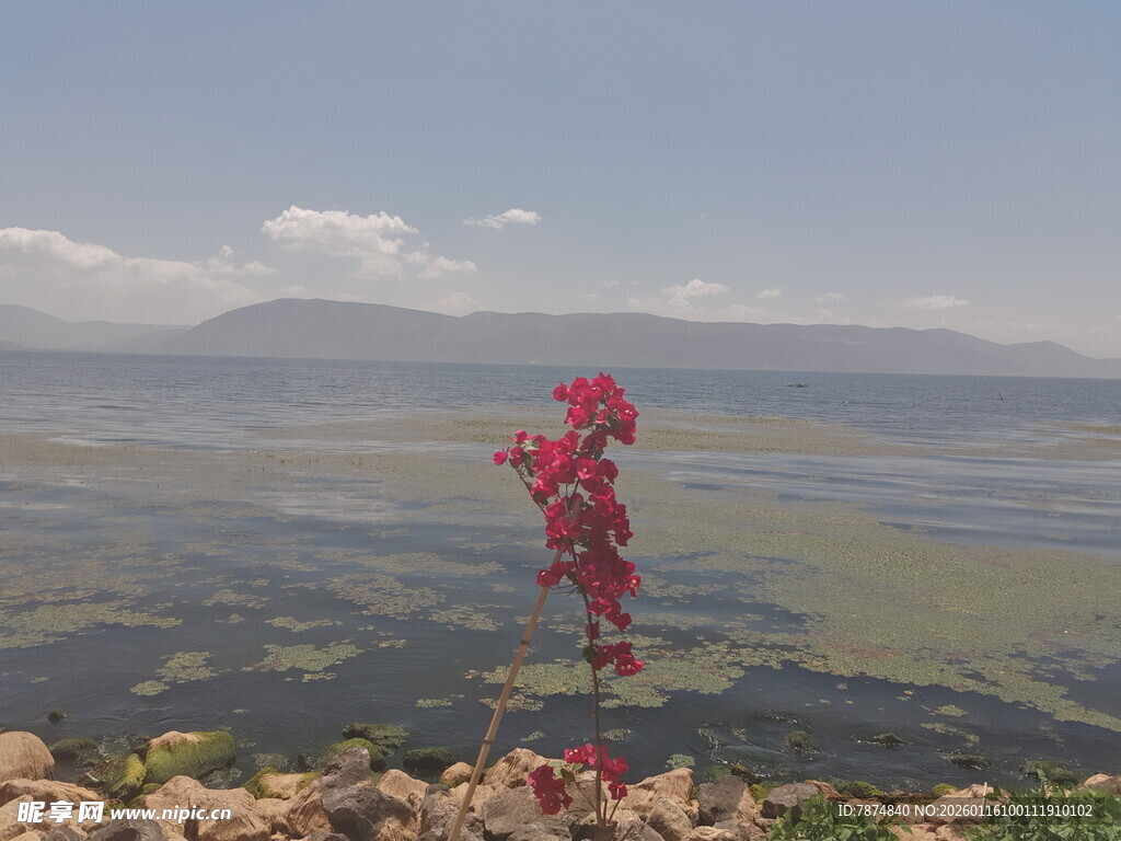 山巅红植映广阔原野