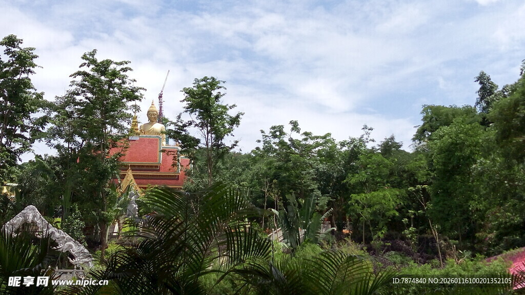 绿树环绕中的别致小屋