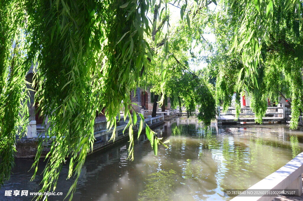 河畔垂柳下的静谧水景