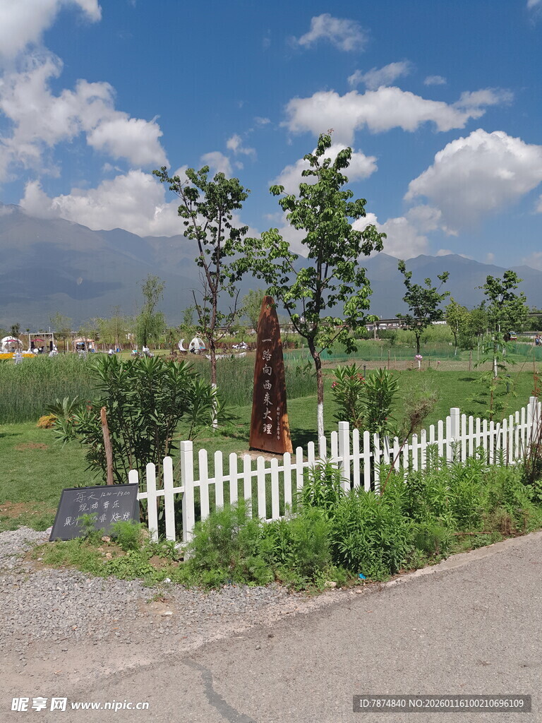 乡村路边的白色围栏与绿树