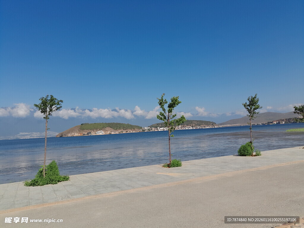 海滨风光 岸边绿植与远岛