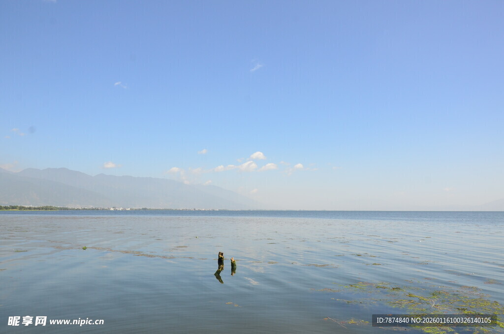 海边漫步的两人