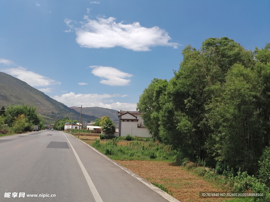 乡村公路旁的自然景致