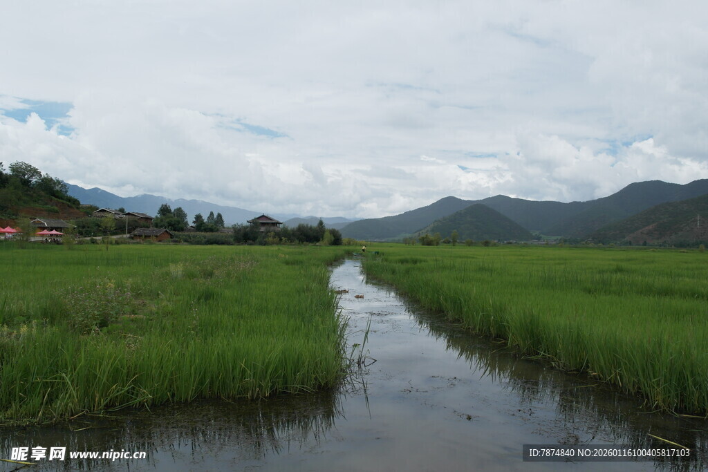 田园水乡风光 小河穿绿野