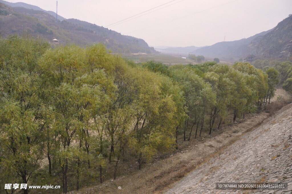 山间葱郁树林与开阔地带