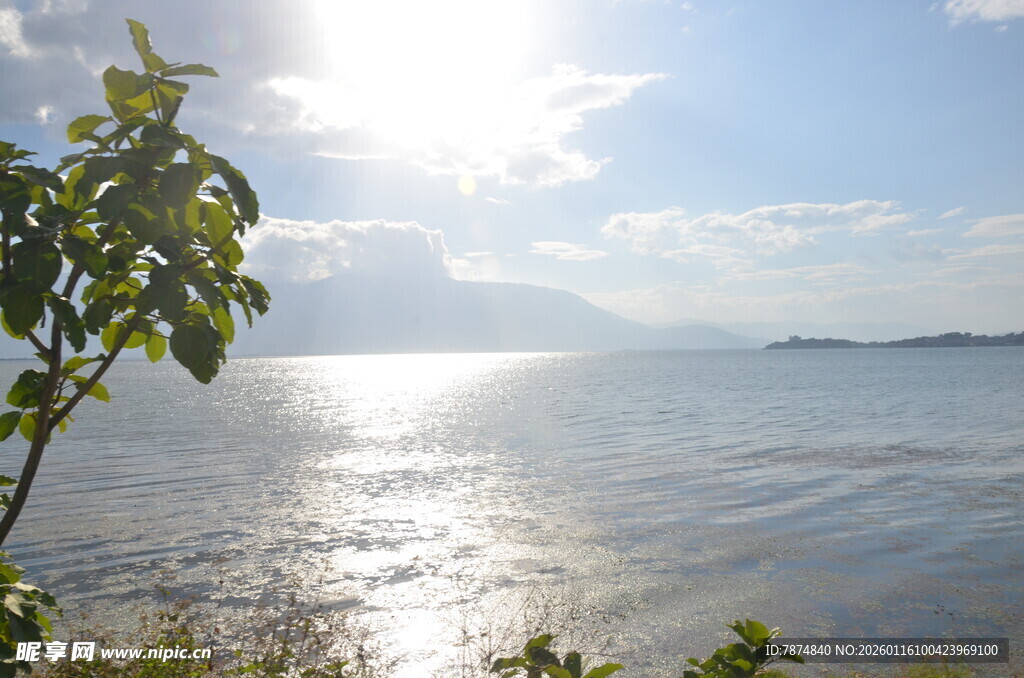 阳光照耀下的美丽海滨风光