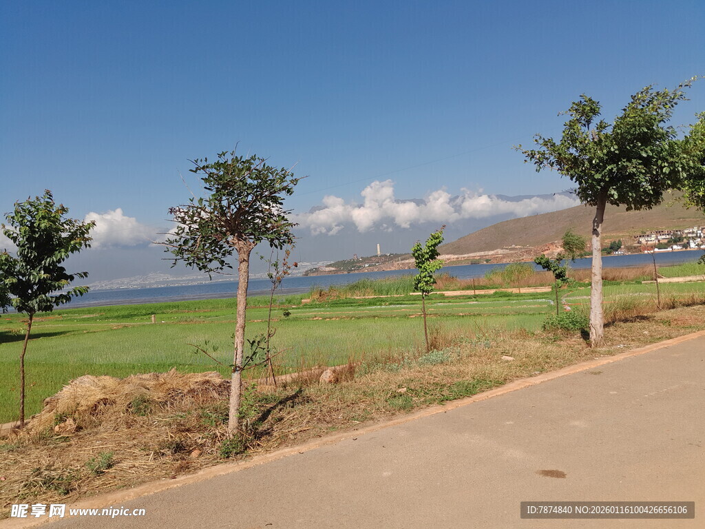 乡村公路边的美丽风光